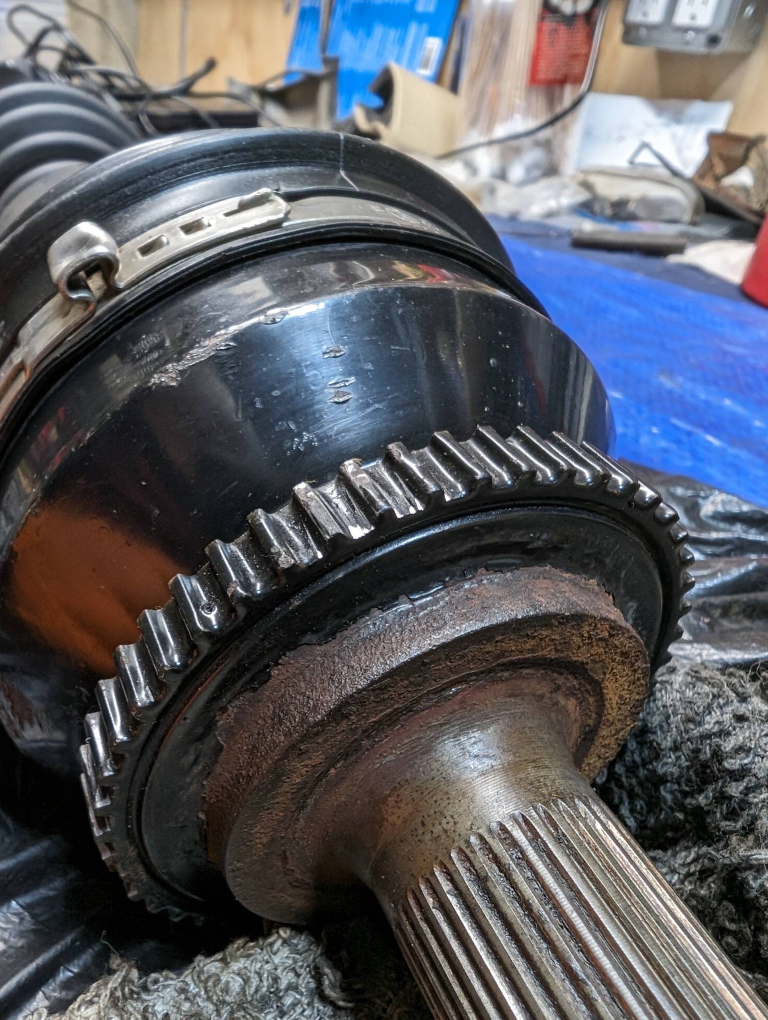 LHF axle tone ring (3)