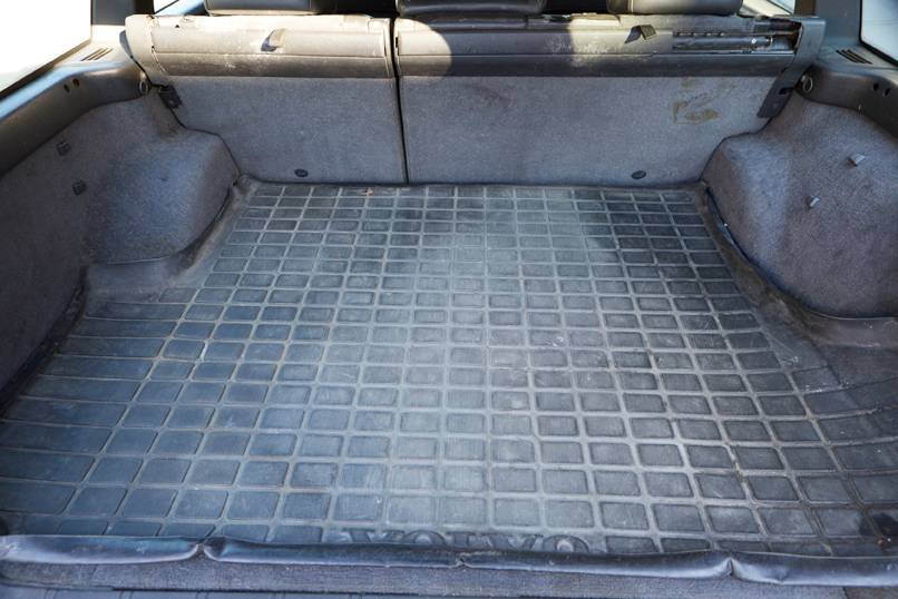 _MG_2716Jan 29 2024.jpg