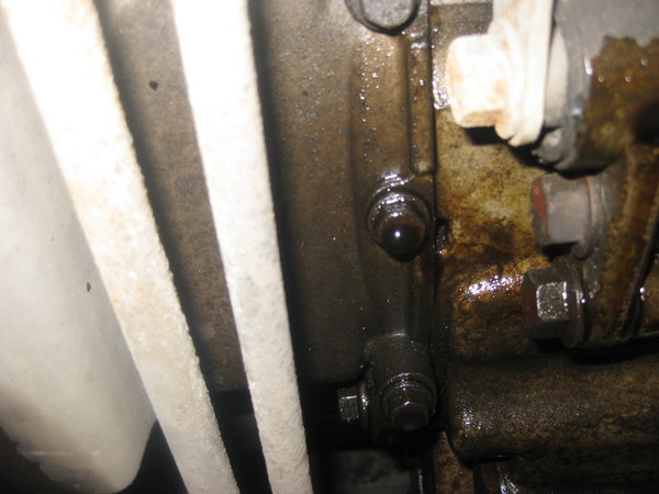 I think this is the weep hole!