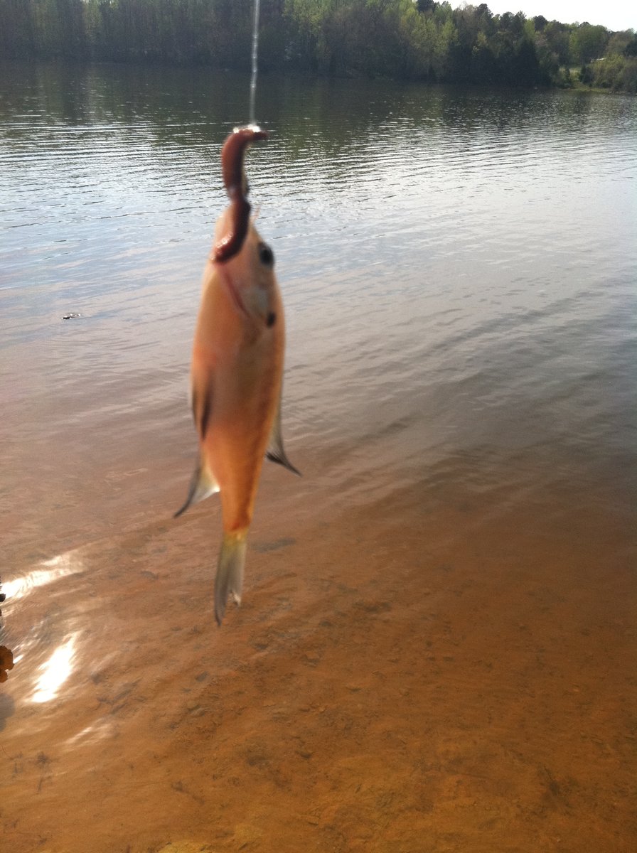 First catch of the year - always worth taking a picture of no matter how small