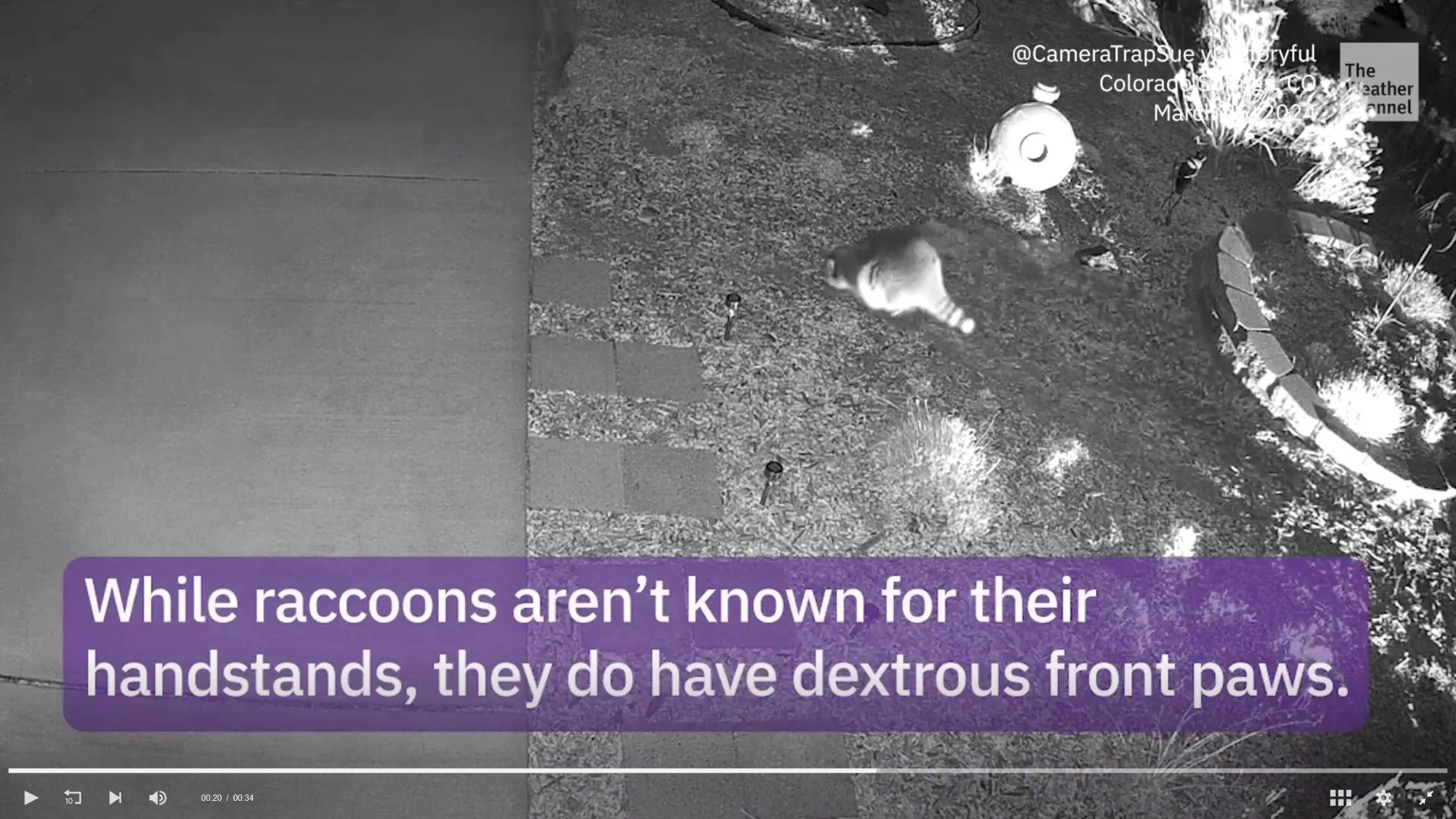 Left Foot Injured.png