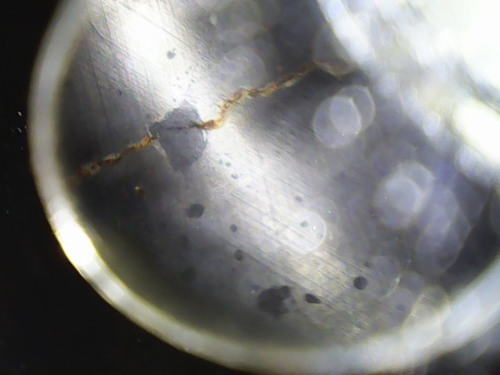 Image_2024-04-14 01_37_15_490.jpeg