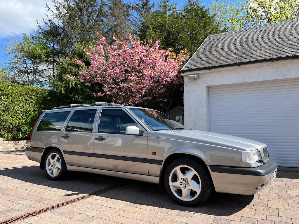 850 Cherry Blossom.jpg