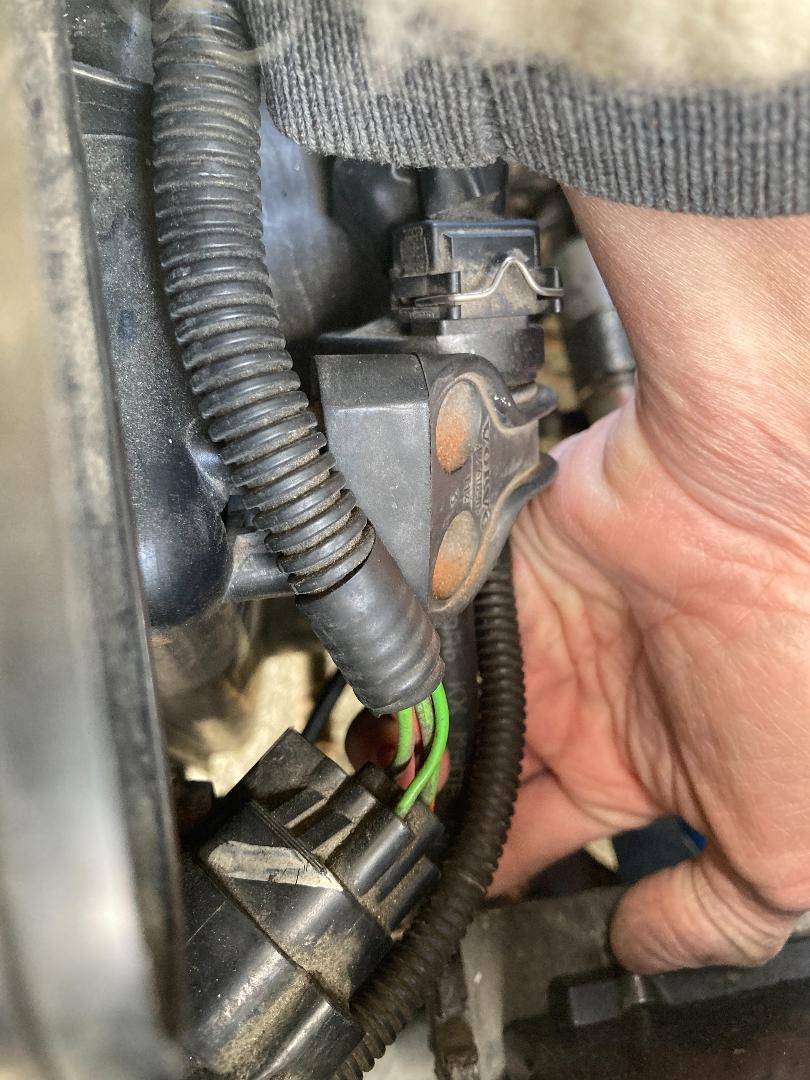 Mia mystery hose.jpg