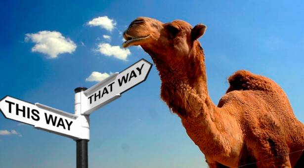Camel GPS.jpg