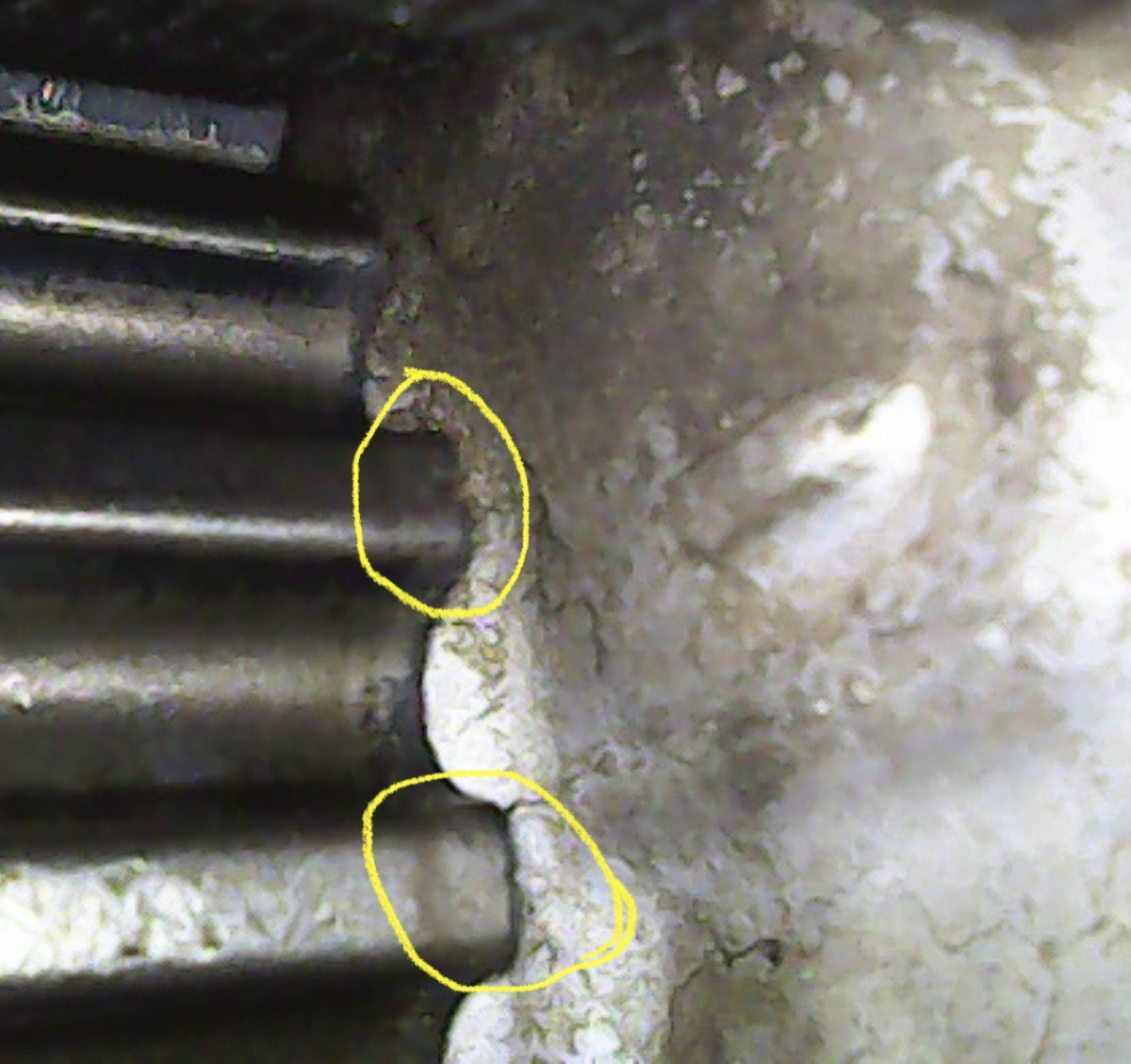 Image_2024-04-03 14_29_53_788.jpeg