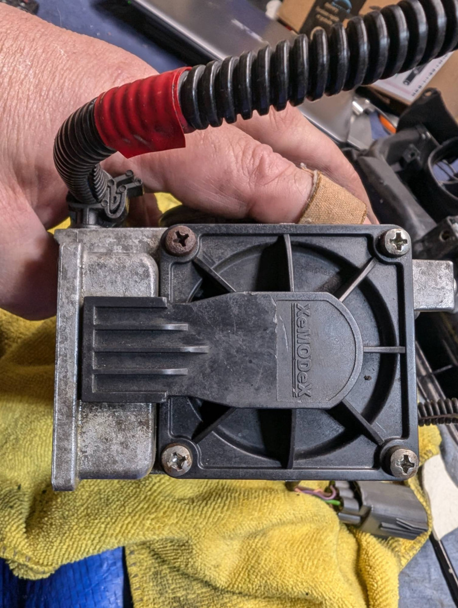 Xemodex sensor one end