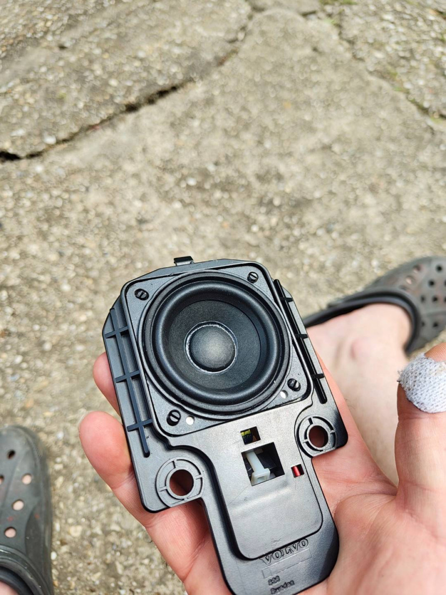 IMG_20240723_141450750 (Large).jpg