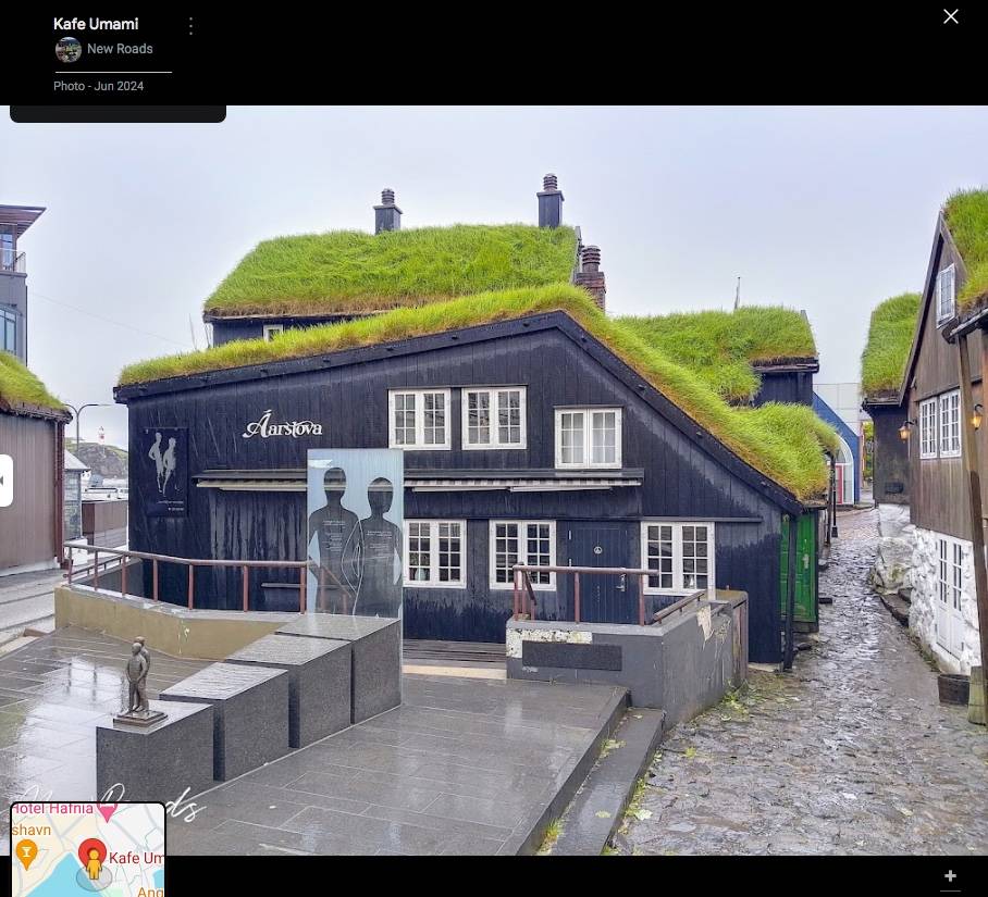 Faroe grass roof.jpeg