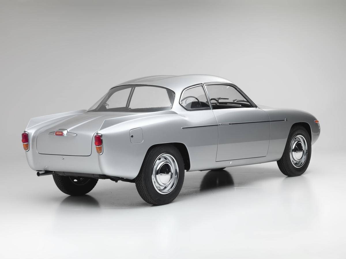 Cute little fins.jpg