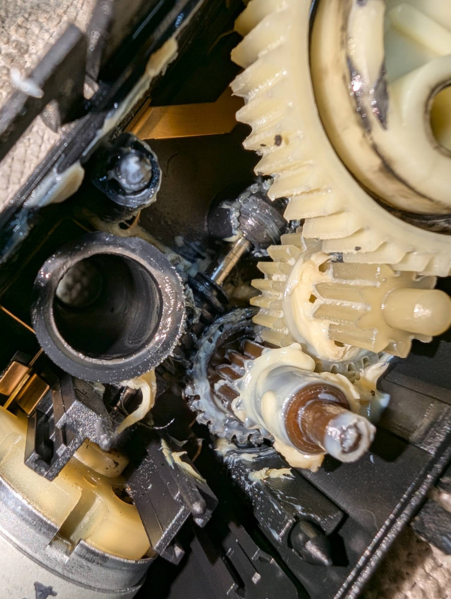 Close up of the inside