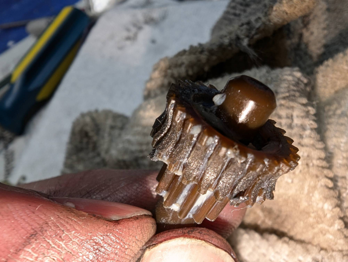 Gear that contacts motor worm drive