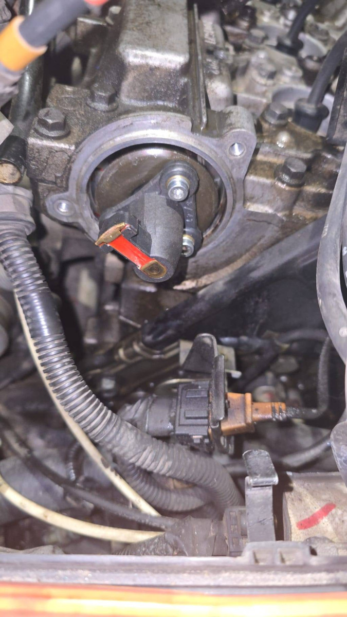 WhatsApp Image 2024-12-03 at 20.05.21_f837bc87.jpg