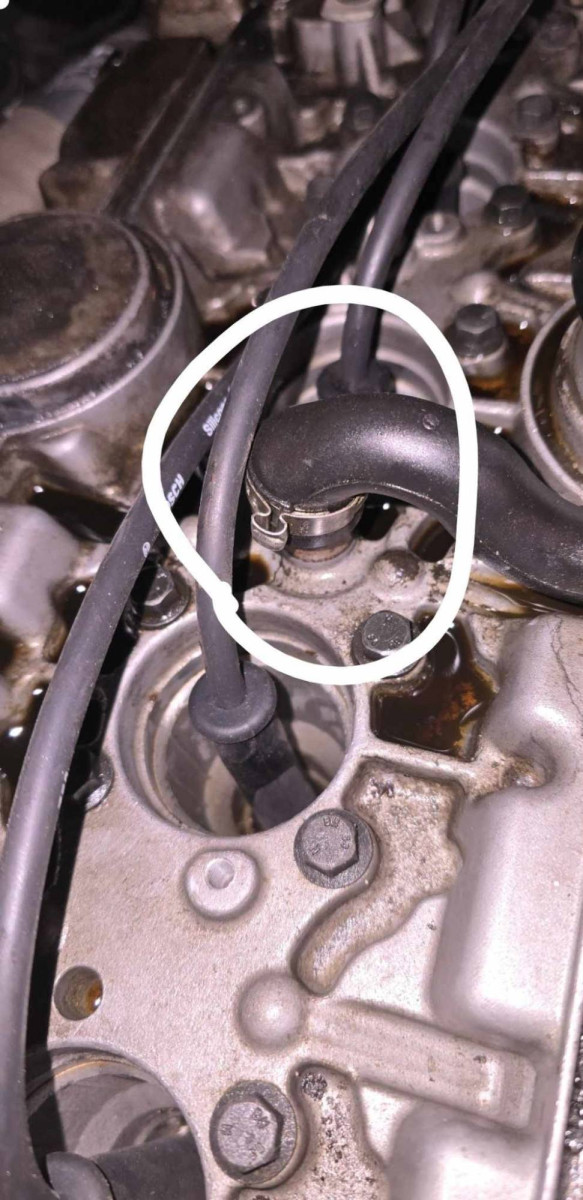 WhatsApp Image 2024-12-09 at 21.12.58_d4a93695.jpg