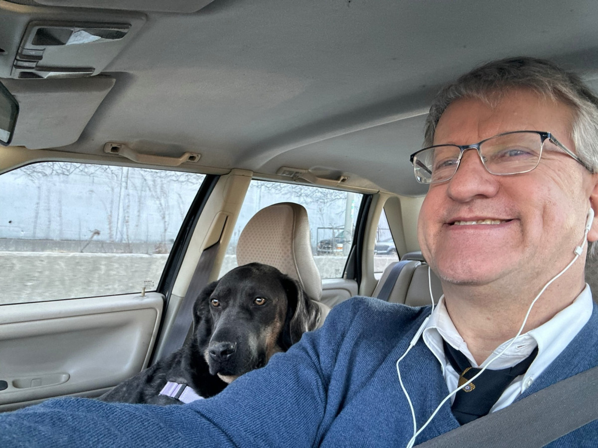 Bringing home Nova the dog for long weekend