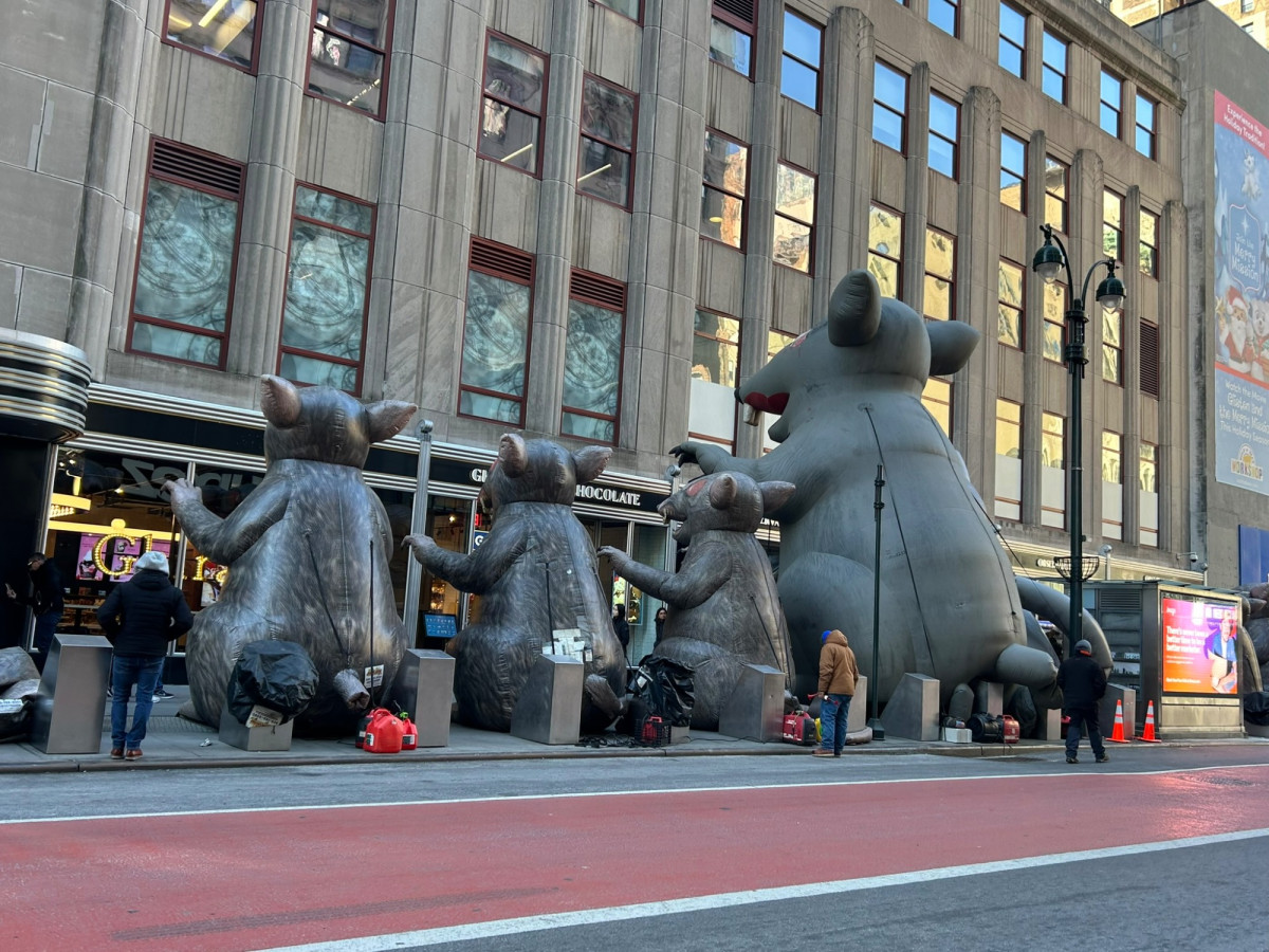 Rat problem on 37th street