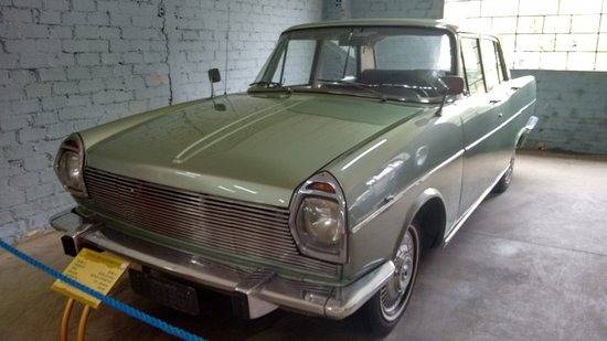 Lovely lawn color.jpg