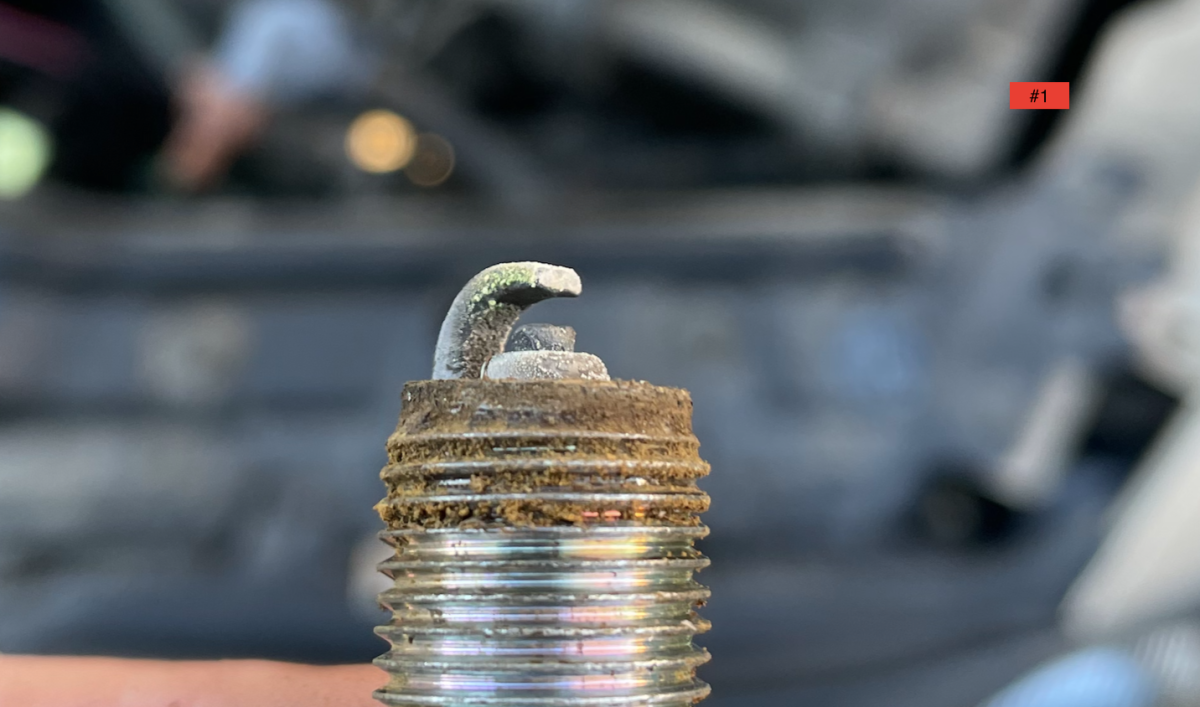 Screen Shot 2025-02-06 at 4.43.28 PM.png