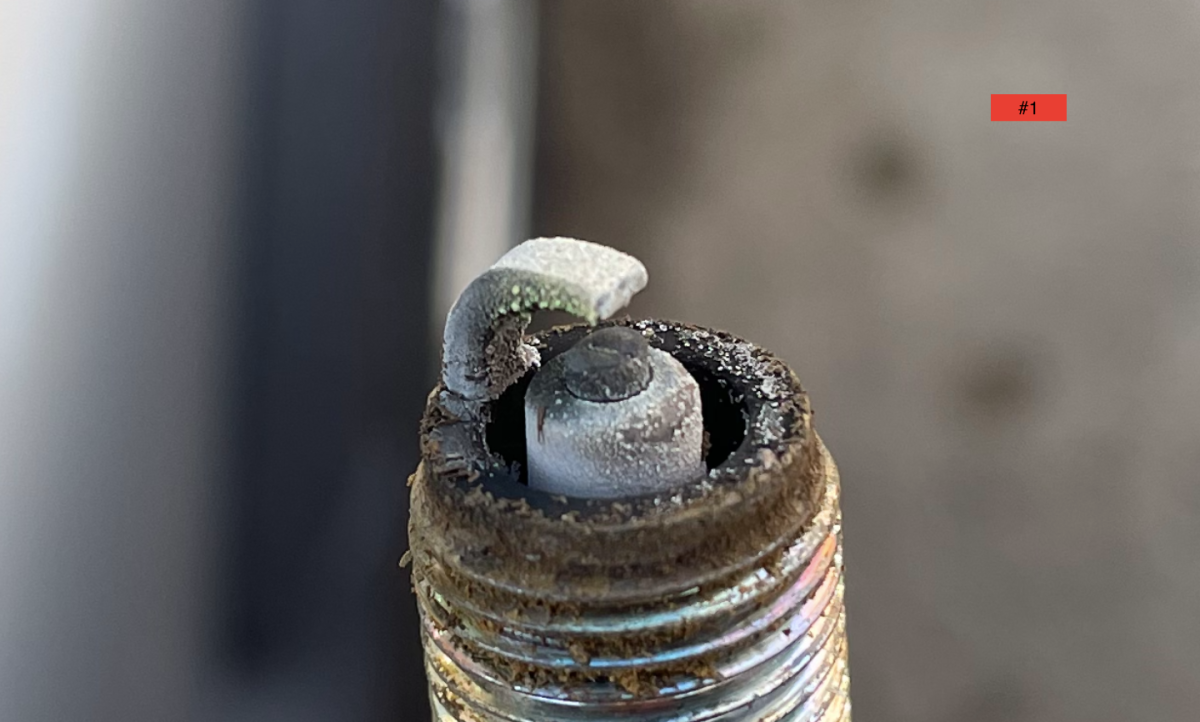 Screen Shot 2025-02-06 at 4.43.42 PM.png