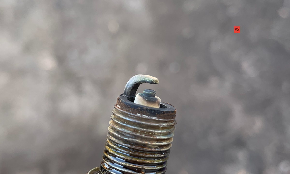 Screen Shot 2025-02-06 at 4.46.51 PM.png