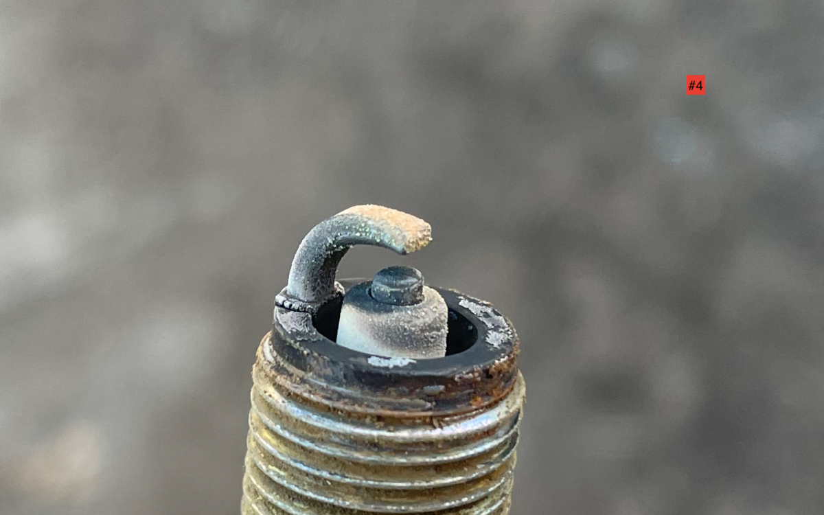 Screen Shot 2025-02-06 at 4.50.50 PM.png