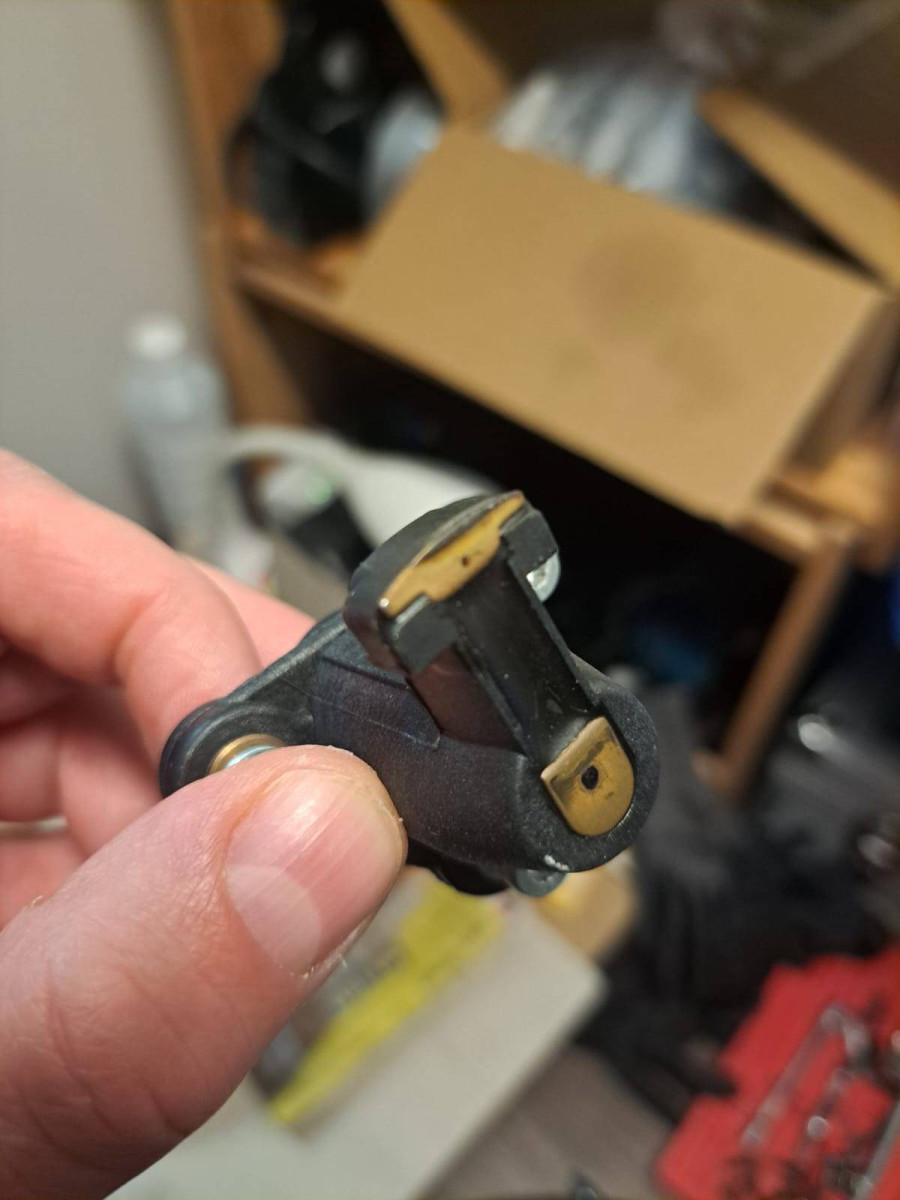 WhatsApp Bild 2025-02-12 um 21.44.31_7e8cf281.jpg