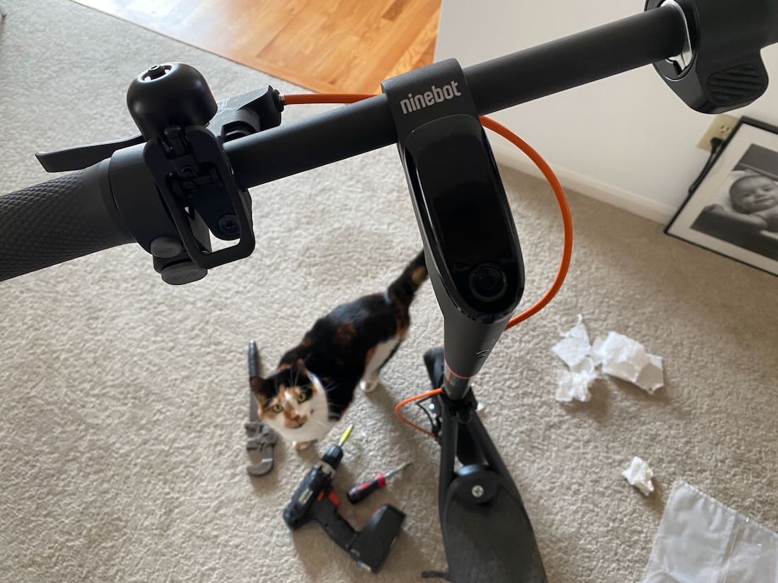 scooter and Georgia my helper