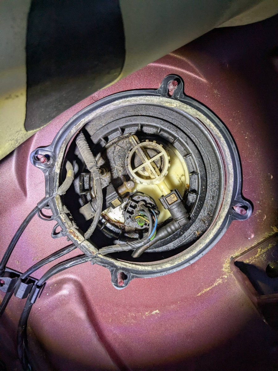 passenger side pump access, before starting.  No visible fuel, but note clean plastic.