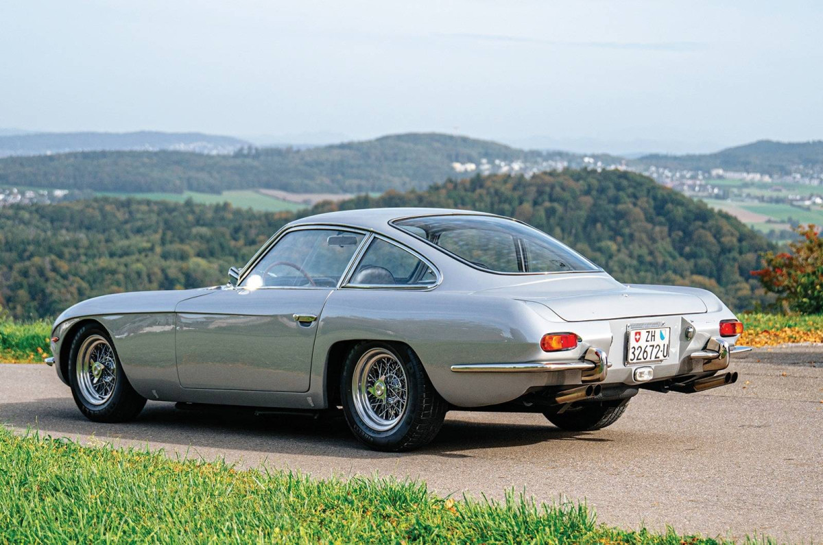 Bugeyed beauty in grey.jpg