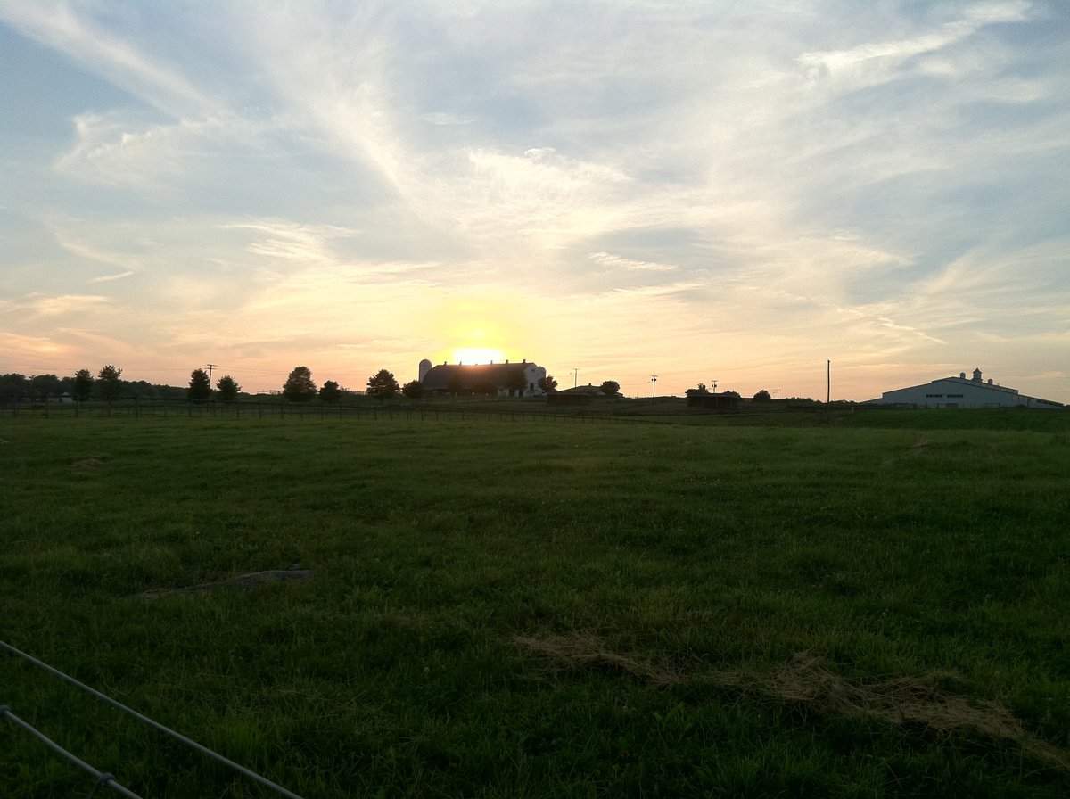 Photo Jun 06, 8 15 14 PM.jpeg