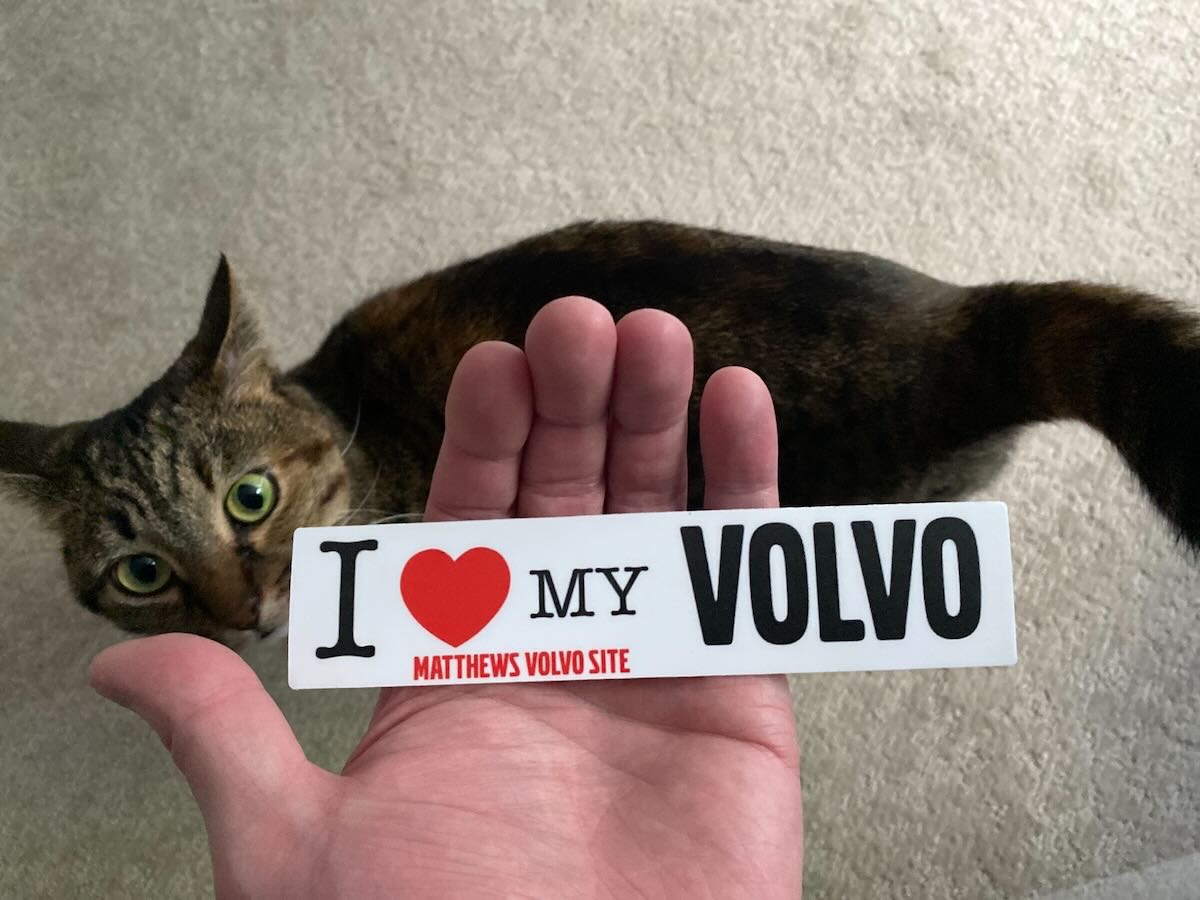 sticker with standard housecat for scale