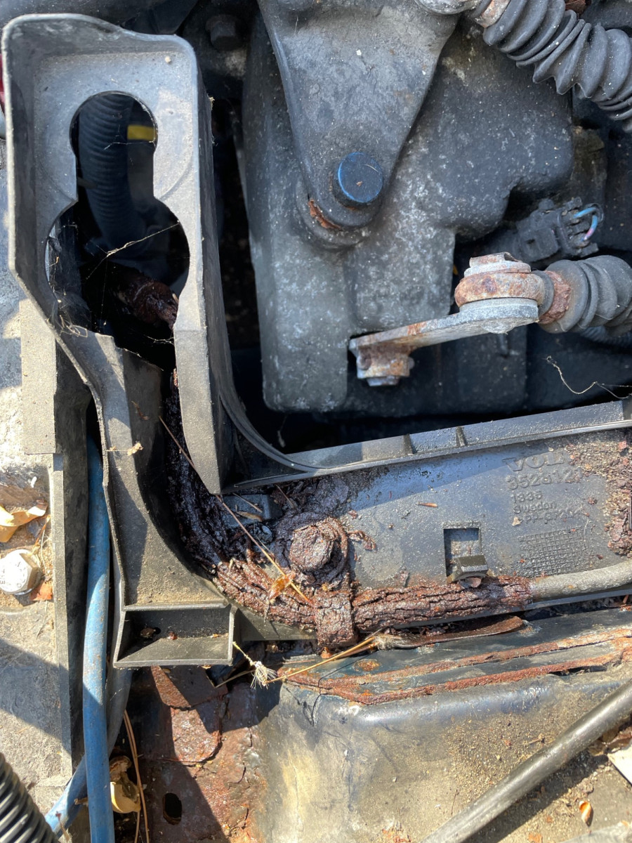 The ugly - rusted out clutch line. The M8 bolts holding in the air cleaner and battery tray were nasty too.