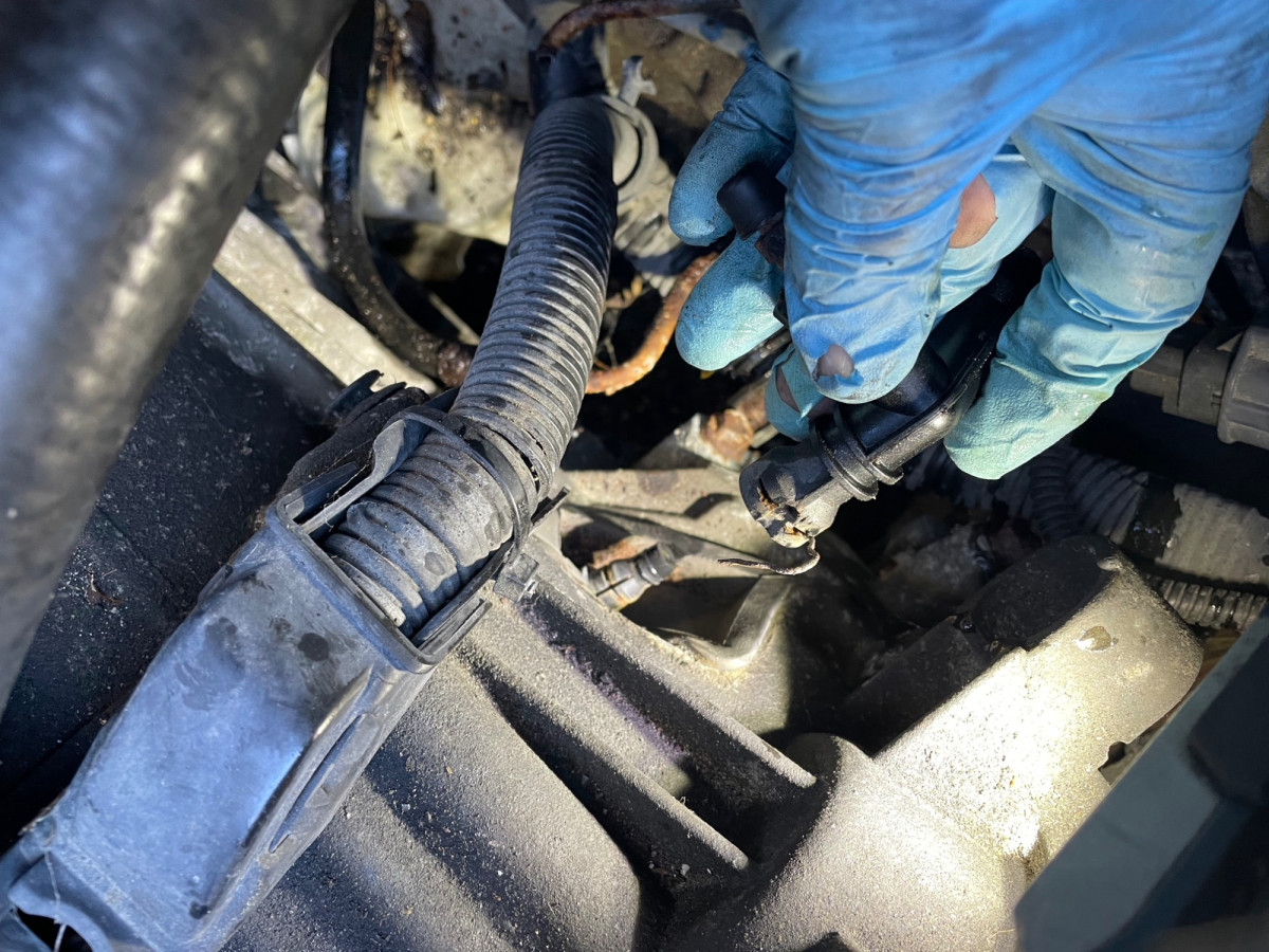 Off it comes with a tug..