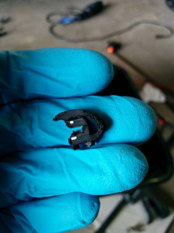 IMG_20150623_143323 (Medium).jpg