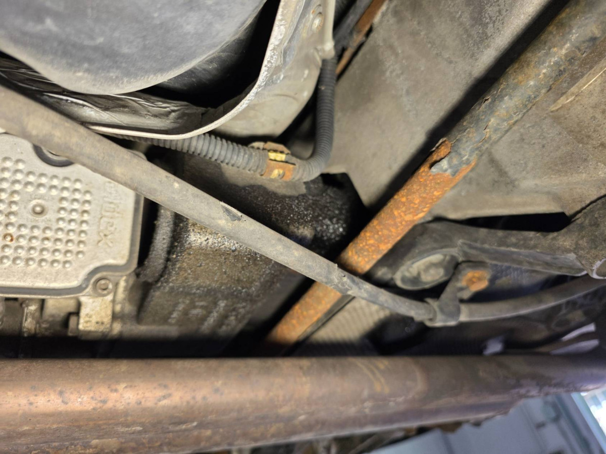 Haldex diff leak