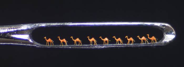 nine_camels.jpg