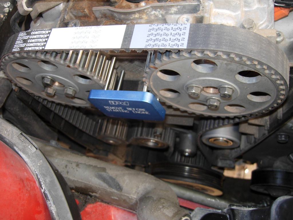 Volvo Timing Belt -