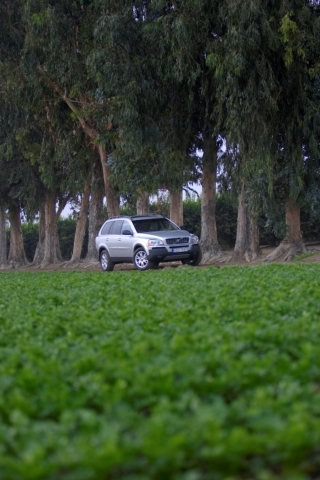 Volvo XC90 V8 -  silver, XC90 V8
