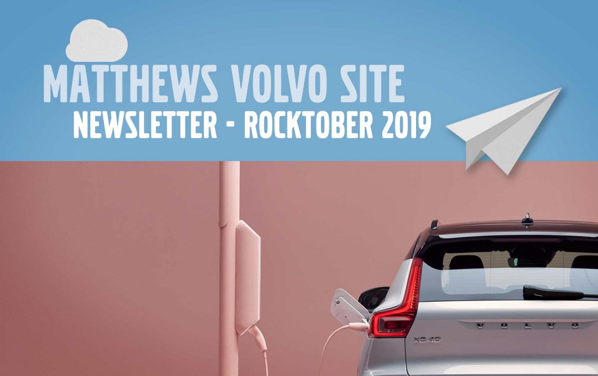 Mvs Newsletter Logo 10 2019 - 