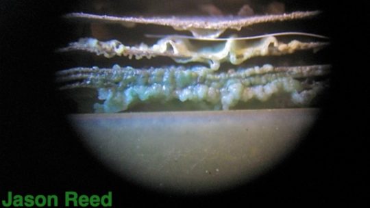 Heater Core Failure -