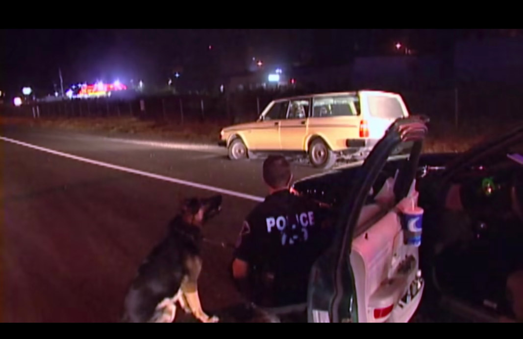 Volvo 240 Pale Yellow 7.04.34 Pm 1 - 