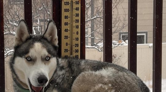 Cold Weather Car Tips -